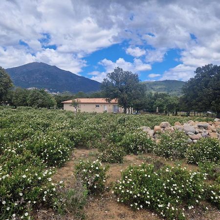Domaine U Filanciu - Casa Chiara - Centru Di Corsica Villa Moltifao Bagian luar foto