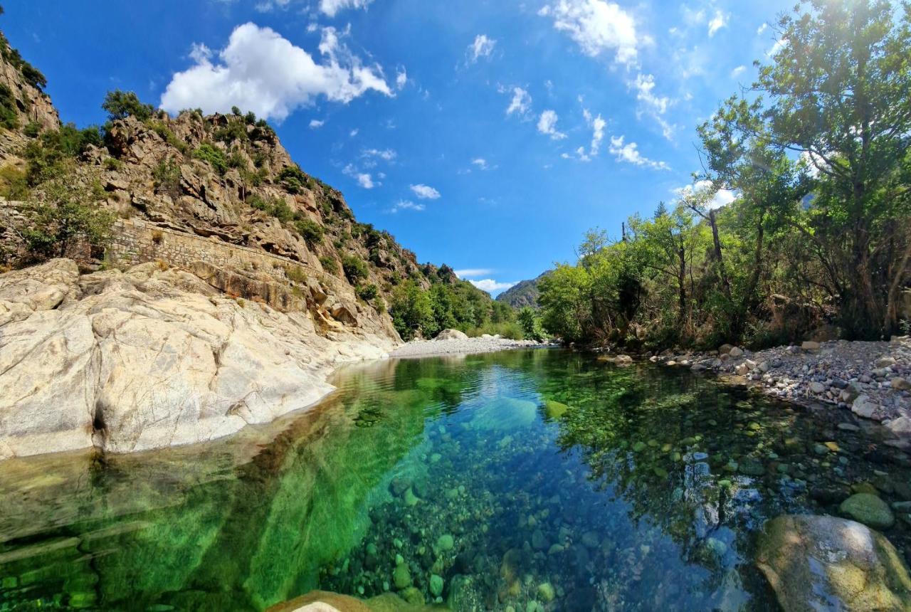 Domaine U Filanciu - Casa Chiara - Centru Di Corsica Villa Moltifao Bagian luar foto